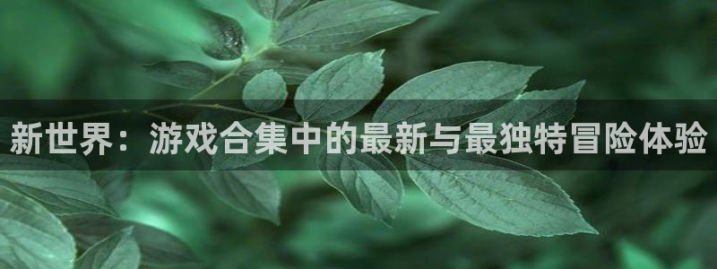 新世界：游戏合集中的最新与最独特冒险体验