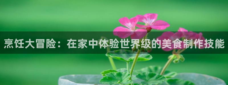 新宝gg平台账号被禁用了找哪里：烹饪大冒险：在家中体验世界级