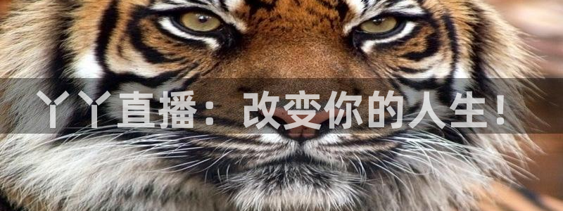 360直播 体育赛事直播：丫丫直播：改变你的人生！