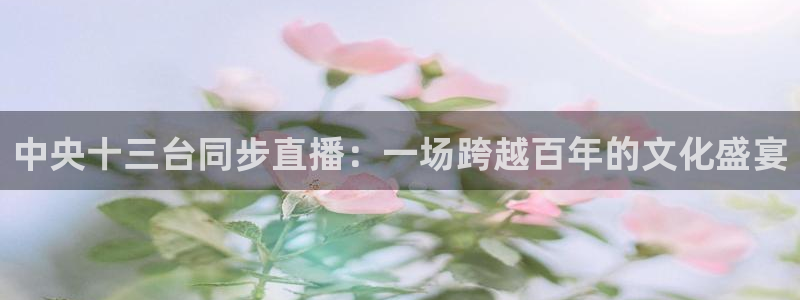 欧联杯直播360直播：中央十三台同步直播：一场跨越百年的文化盛宴